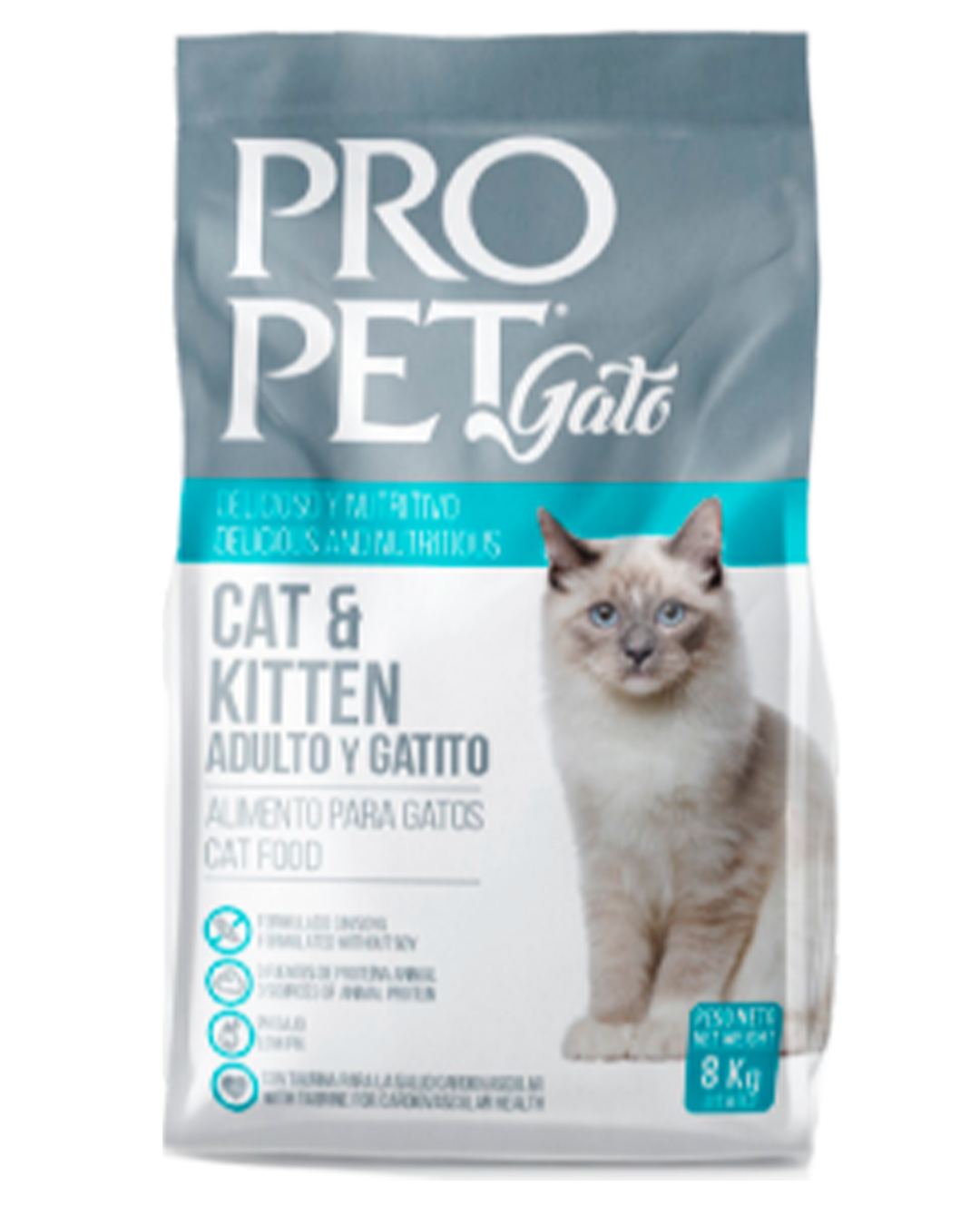gato1