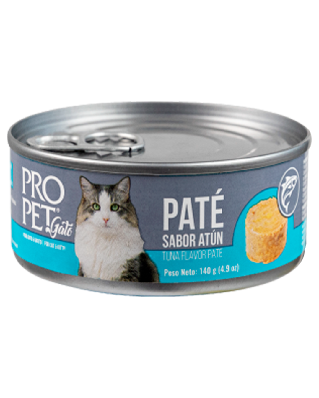 gato2